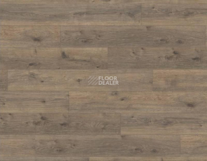 Haro Tritty 90 ДУБ КОРОНА 538645 фото 1 | FLOORDEALER